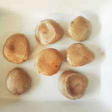 Image result for Telfairia pedata