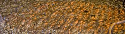 We did not find results for: Equinox Gold Corp Canada The Cyanide Code