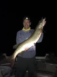 Maybe you would like to learn more about one of these? Musky Fishing At Night In Wisconsin May Involve Blood Fish Cpr
