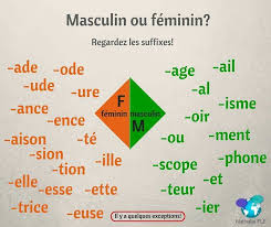 Masculin Ou Feminin Ensenanza De Frances Clases De Frances Aprender Frances