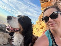 Adorable Hiking Partners, Three Loyal Dogs