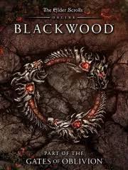 Take advantage of limitless supplies and create anything you. Los Mejores Juegos De Rol Rpg Pc 3djuegos