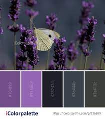 Color Palette Ideas From Lavender Flower English Image Lavender Color Palette Dark Purple Color Scheme Purple Color Palettes