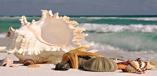 May 06, 2021 · while every season has something that makes it loved, summer is a time for vacations, warm weather, relaxing at the beach, and enjoying sunsets. Summer Beach Wallpaper For Pc Free Download Install On Windows Pc Mac