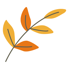 Ver más ideas sobre hojas de diseño, fondos de word, fondos para textos. Vector Transparente Png Y Svg De Decoracion De Hojas Planas
