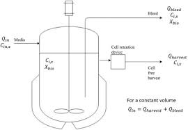 For animal cell culture the cells are taken from the organ of an experimental animal. Perfusion Mammalian Cell Culture For Recombinant Protein Manufacturing A Critical Review Sciencedirect
