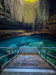 Devils Den. #florida #devilsden #floridaspring