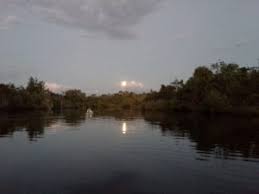 We did not find results for: Fall Events At Camp Bayou Outdoor Learning Center In Ruskin The Observer News South Shore Riverview Sun City Center