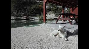 I watch the shadows dance, hear the. Land Of Dreams Trimiklini Troodos Mountains Cyprus Youtube