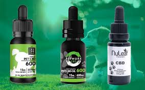 What are my other cbd oil options? Best Cbd Oil For Dogs Top 5 Picks Az Big Media
