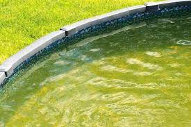 Doch welche kosten kommen auf euch drauf zu? Poolwasser Grun Was Nun 2021 Alles Wissenswerte Auf Einen Blick
