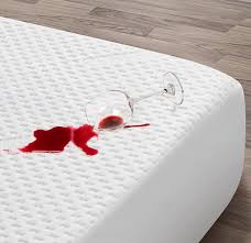 Lightweight quilted mattress pad with hypoallergenic fill—ideal for allergy sufferers. Alwyn Home Twin Xl Quilted Fitted Mattress Pad Waterproof Mattress Protector Breathable Cozy Fabric 3 1 Waterproof Tech Hypoallergenic Mattress Pad Cover Vinyl Free 8 Inch 21 Inch Deep Pocket Wayfair