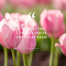 Quotes beautiful flowers for her. 55 Inspirational Flower Quotes Beautiful Motivational Sayings With Pictures