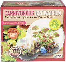 Check spelling or type a new query. Amazon Com Unique Gardener Grow Your Own Venus Fly Trap Complete Kids Terrarium Kit To Sprout Fly Trap And Sundew Plants Includes Everything Needed For The Plants To Thrive Toys