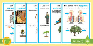 El romanticismo fue un movimiento cultural esto fue posible gracias a las características particularmente innovadoras del movimiento. Posters Las Caracteristicas De Los Seres Vivos