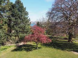 Engler zum botanischen garten umgestaltet. Alter Botanischer Garten Kiel Kindertour De