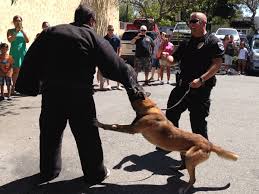 Friends of Rialto K9