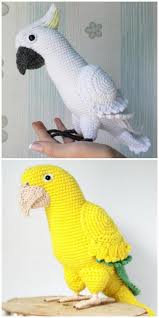 Crochet Bird Patterns Easy Diy Video The Whoot Crochet Bird Patterns Crochet Birds Crochet Parrot