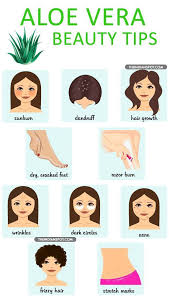 How to treat a rug burn with first aid? 10 Beste Beauty Tipps Mit Aloe Vera Haupthilfsmittel Fur Sonnenbrand Dark Skin Wie Kann Plastische Chirurgie Beauty Tipps Aloe Vera Schonheitstricks
