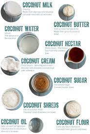 The Ultimate Guide To Everything Coconut Healthful Pursuit