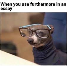 Mvnik Beatz Funny Animal Memes New Memes Funny Pictures