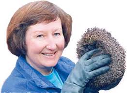 The Hedgehog Welfare Society