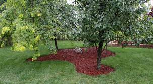59 Diy Landscaping Ideas And Tips To Improve Your Outdoor Space Diy Landscaping Mulch Landscaping Mulch Around Trees