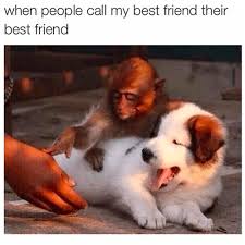 See more ideas about tamil stories, tamil motivational quotes, moral stories. 99 Funny Friend Memes Friendship Memes Best Friend Memes More Yellow Blogtopus
