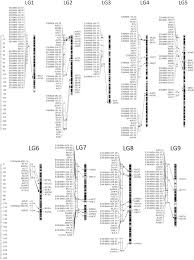 If you find difficult to find biblical names with the letter e for your little girl, then this site is definitely user friendly allowing your pick. The Map Comprises Of 131 Snps 176 Aflps Names Start With The Letter Download Scientific Diagram