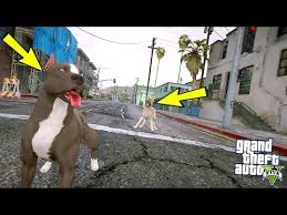 Yavru Pitbull Ilk Kez Disi Bir Pitbull A Karsilasiyor Gta 5 Youtube