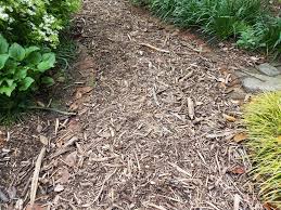 Gartenweg Welcher Belag Ist Sinnvoll