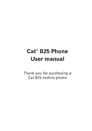Manual - Caterpillar CAT B25 ...