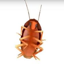 Scores For Weew Dancing Cockroach Autotune