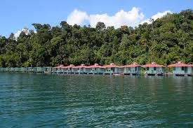 Come and visit us now. Khao Sok National Park Tour Zum Ratchaprapha See