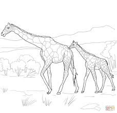 39+ giraffe coloring pages for printing and coloring. Get This Realistic Giraffe Coloring Pages For Adults 94710