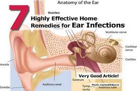 Home Remedies For Ear Infections Ear Infection Remedy Ear Infection Home Remedies Ear Infection