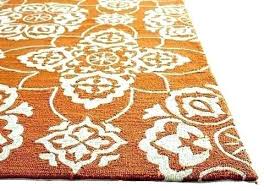 Your online home decor store! Brainy Bright Outdoor Rug Photos Amazing Bright Outdoor Rug For Orange Outdoor Brainy Bright Outdoor Rug Ph Cool Rugs Outdoor Carpet Outdoor Rugs Patio