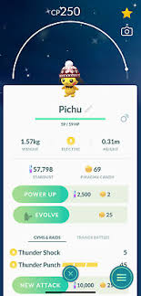 You can click any sprite for a handy way to add it to your website or forum signature. Shiny Pichu Wearing Beanies Hat Pokemon Mini Acc Ebay