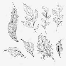 Set Of Beautiful Handdrawn Feathers Handdrawn Feathers Draw Png Transparent Clipart Image And Psd File For Free Download In 2021 How To Draw Hands Clipart Images Cartoon Clouds