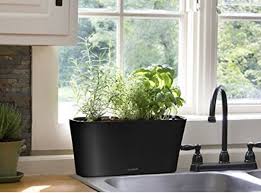 Window herb garden kit, indoor herb garden kit, indoor wine bottle herb plant kits, bottle plant kits, wine bottle plants. How To Make A Windowsill Herb Garden Grow Culinary Herbs
