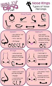 Types Of Nose Piercings Chart View Nose Piercing Types Different Types Of Piercings Piercings Nose Piercing