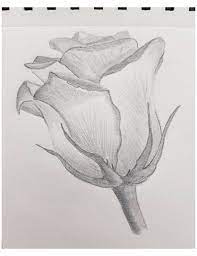 Maybe you would like to learn more about one of these? Disegno Schizzo Figura Stilizzata Disegno A Matita Tutorial Di Disegno Disegno Semplice D Nature In 2021 Nature Drawing Sketches Easy Realistic Flower Drawing