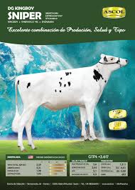 Revista Frisona Española 218 (mar-abr 2017) by CONAFE Frisona Española -  Issuu