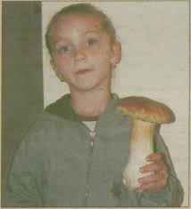 PRZEDWYBORCZY SONDAŻ