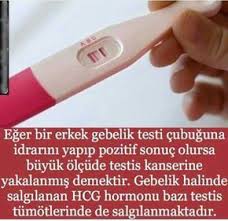Gebelik Testi Yapan Erkeklerde Tip Bilgi Saglik