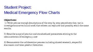 Student Project Emergency Care Flow Chart By Nina Suzette Tpt