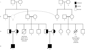 Genetic Mutations Associated With Neonatal Diabetes Mellitus