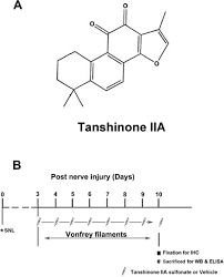 15 oktober 2014 versie : Chemical Structure Of Tanshinone Iia Tiia A And Detailed Timeline Download Scientific Diagram