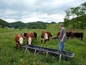 Shipley Farms Beef – A Century of Family Farming — Feed the ...