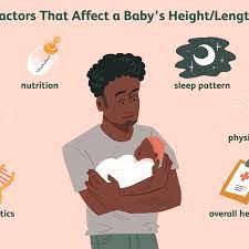 Average Baby Weight And Length During The First Year
